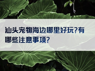 汕头宠物海边哪里好玩？有哪些注意事项？