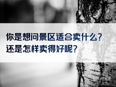 你是想问景区适合卖什么？还是怎样卖得好呢？