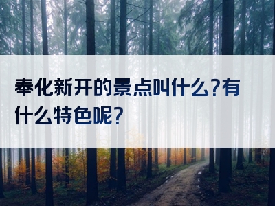 奉化新开的景点叫什么？有什么特色呢？