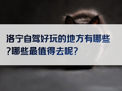 洛宁自驾好玩的地方有哪些？哪些最值得去呢？