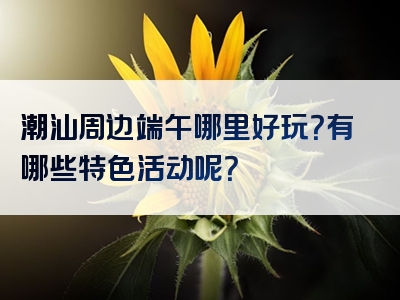 潮汕周边端午哪里好玩？有哪些特色活动呢？