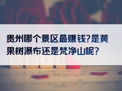 贵州哪个景区最赚钱？是黄果树瀑布还是梵净山呢？