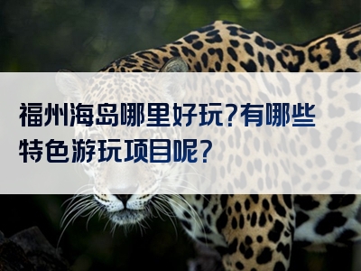 福州海岛哪里好玩？有哪些特色游玩项目呢？