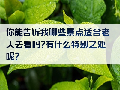 你能告诉我哪些景点适合老人去看吗？有什么特别之处呢？
