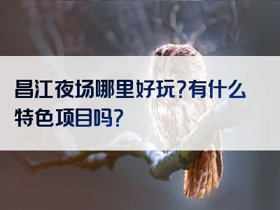 昌江夜场哪里好玩？有什么特色项目吗？