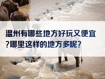 温州有哪些地方好玩又便宜？哪里这样的地方多呢？