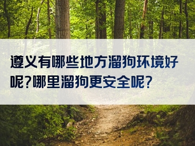 遵义有哪些地方溜狗环境好呢？哪里溜狗更安全呢？