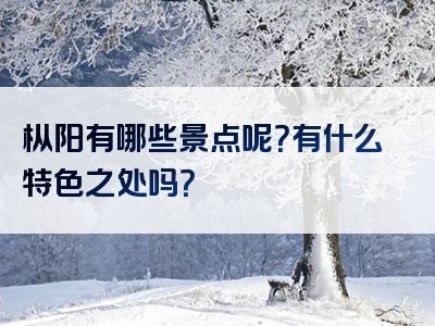 枞阳有哪些景点呢？有什么特色之处吗？