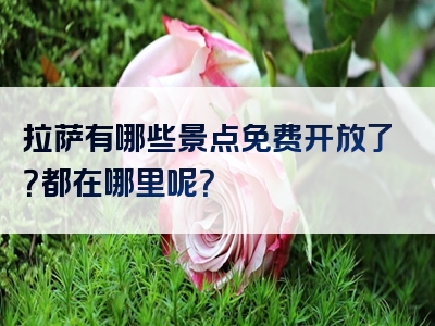 拉萨有哪些景点免费开放了？都在哪里呢？
