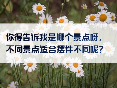 你得告诉我是哪个景点呀，不同景点适合摆件不同呢？
