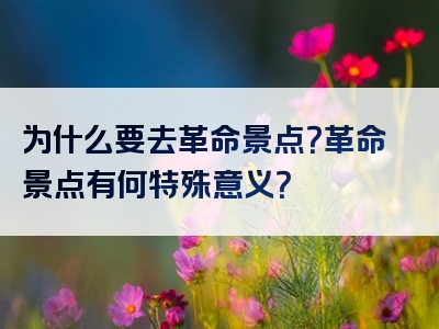 为什么要去革命景点？革命景点有何特殊意义？