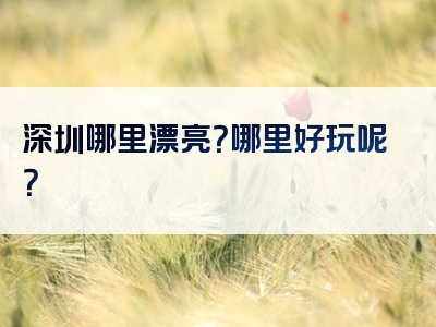 深圳哪里漂亮？哪里好玩呢？