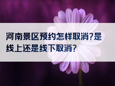 河南景区预约怎样取消？是线上还是线下取消？