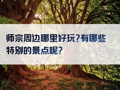 师宗周边哪里好玩？有哪些特别的景点呢？