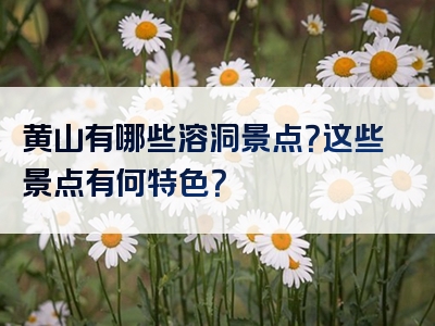 黄山有哪些溶洞景点？这些景点有何特色？