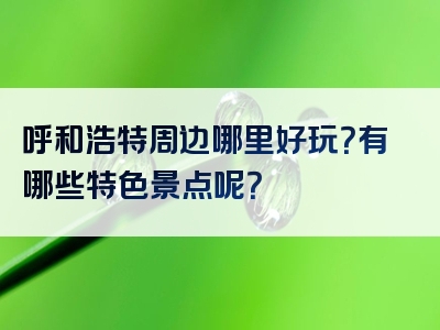呼和浩特周边哪里好玩？有哪些特色景点呢？