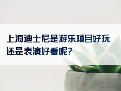 上海迪士尼是游乐项目好玩还是表演好看呢？