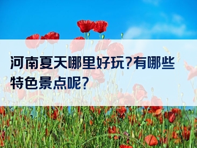 河南夏天哪里好玩？有哪些特色景点呢？