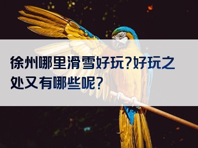 徐州哪里滑雪好玩？好玩之处又有哪些呢？
