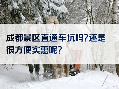 成都景区直通车坑吗？还是很方便实惠呢？