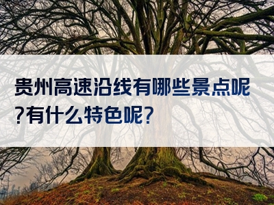 贵州高速沿线有哪些景点呢？有什么特色呢？