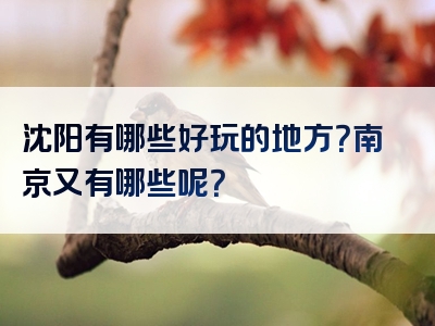 沈阳有哪些好玩的地方？南京又有哪些呢？