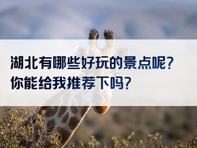 湖北有哪些好玩的景点呢？你能给我推荐下吗？
