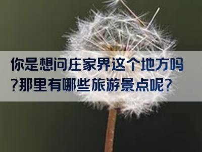 你是想问庄家界这个地方吗？那里有哪些旅游景点呢？