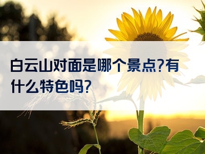 白云山对面是哪个景点?有什么特色吗?