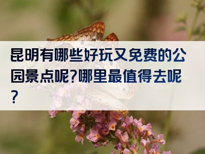 昆明有哪些好玩又免费的公园景点呢？哪里最值得去呢？