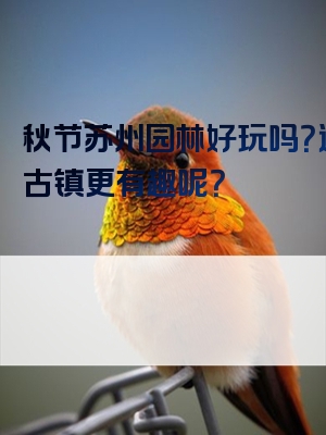 秋节苏州园林好玩吗？还是古镇更有趣呢？