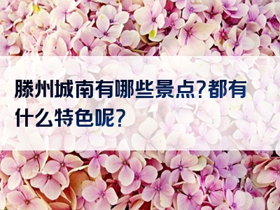 滕州城南有哪些景点？都有什么特色呢？