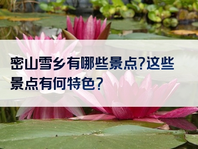 密山雪乡有哪些景点？这些景点有何特色？