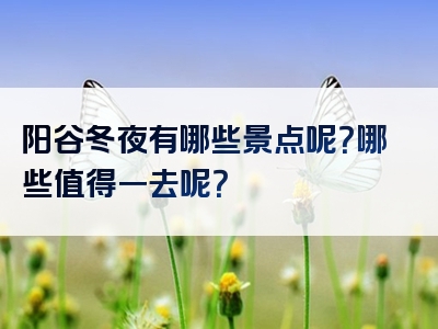 阳谷冬夜有哪些景点呢？哪些值得一去呢？