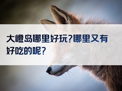 大嶝岛哪里好玩？哪里又有好吃的呢？