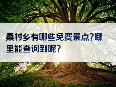 桑村乡有哪些免费景点？哪里能查询到呢？