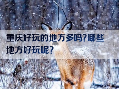 重庆好玩的地方多吗？哪些地方好玩呢？