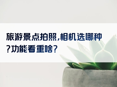 旅游景点拍照，相机选哪种？功能看重啥？