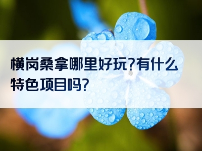 横岗桑拿哪里好玩？有什么特色项目吗？