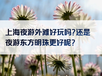 上海夜游外滩好玩吗？还是夜游东方明珠更好呢？