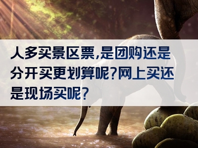 人多买景区票，是团购还是分开买更划算呢？网上买还是现场买呢？