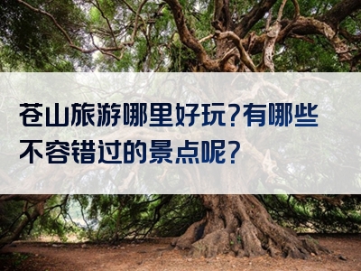 苍山旅游哪里好玩？有哪些不容错过的景点呢？