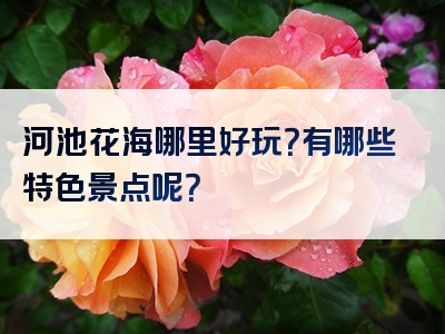 河池花海哪里好玩？有哪些特色景点呢？