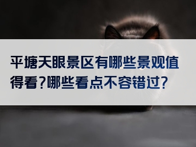 平塘天眼景区有哪些景观值得看？哪些看点不容错过？