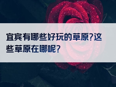 宜宾有哪些好玩的草原？这些草原在哪呢？