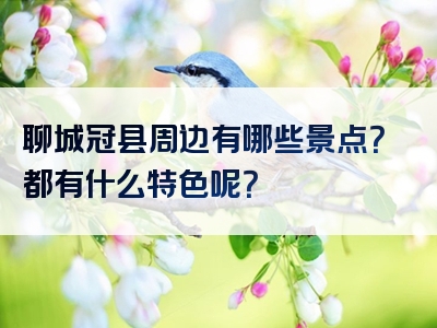 聊城冠县周边有哪些景点？都有什么特色呢？