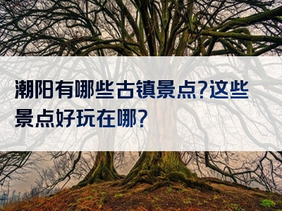 潮阳有哪些古镇景点？这些景点好玩在哪？