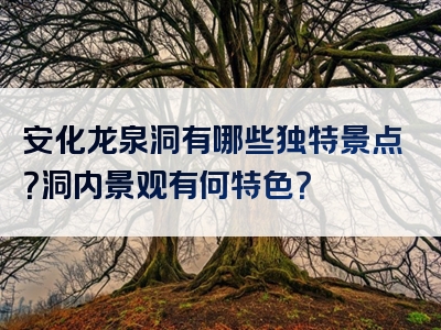 安化龙泉洞有哪些独特景点？洞内景观有何特色？