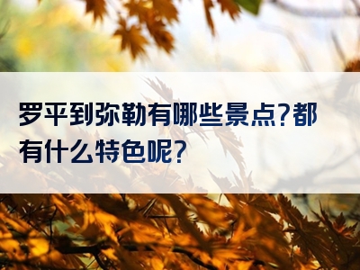罗平到弥勒有哪些景点？都有什么特色呢？