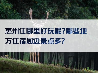 惠州住哪里好玩呢？哪些地方住宿周边景点多？